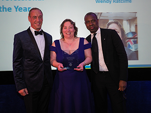 LLG Awards 2017 Professional