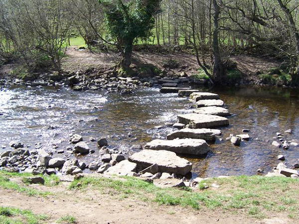 Stepping stones over the River Cover geograph.org.uk 416069